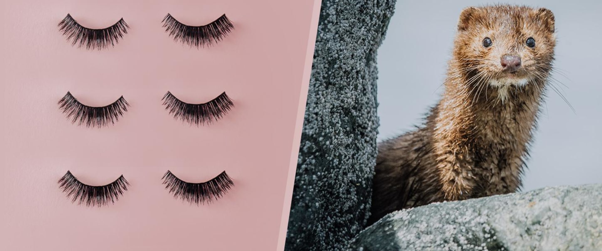 Everything You Need to Know About Eyelash Extensions
