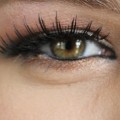 How to Choose the Best False Eyelashes for Small Eyes