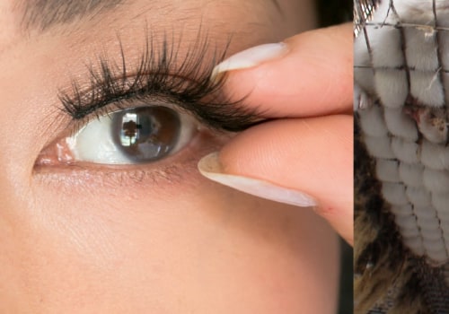 Everything You Need to Know About Fake Eyelashes